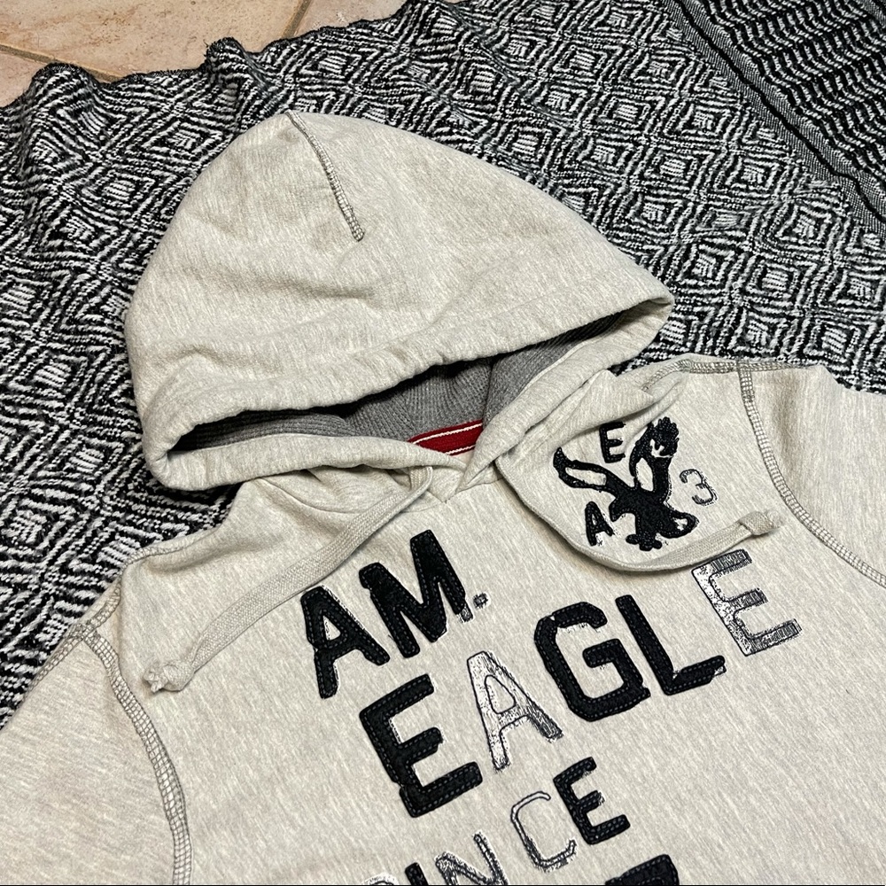 American Eagle Outfitters Classic Fit 1977 Logo Hoodie Men size S - Picture 5 of 10